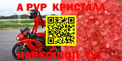 твердый Новозыбков