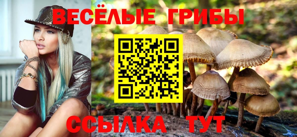 Псилоцибиновые грибы мицелий  Галлюциногенные грибы GOLDEN TEACHER  как найти   Вход с VPN  Ступино 